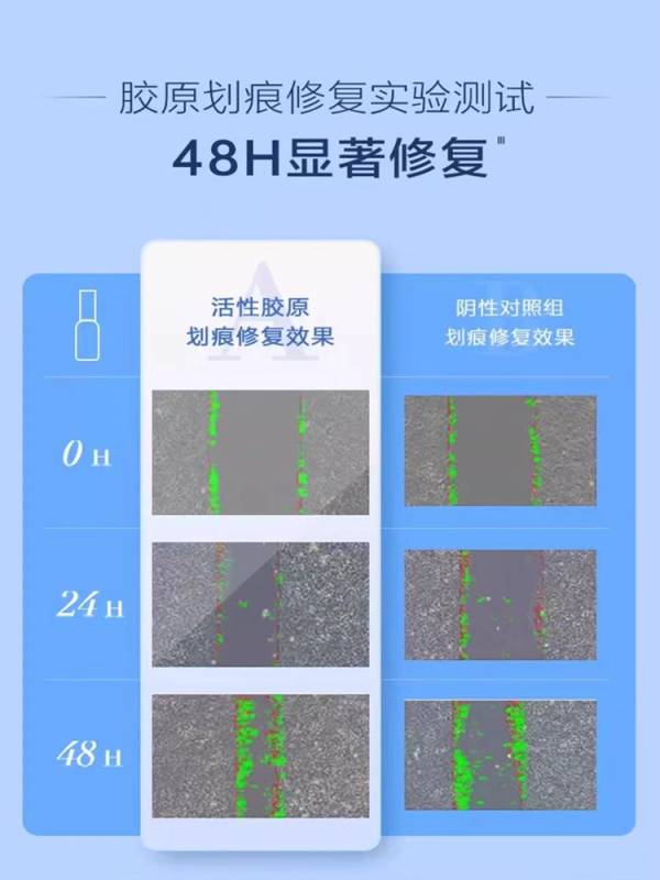 Chuangfu Kang Trauer Collagen Dressing (>1300ug/ml) *5pcs - Image 4